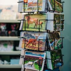 Local Postcards and Greeting Cards